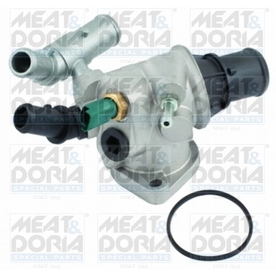 Thermostat, coolant